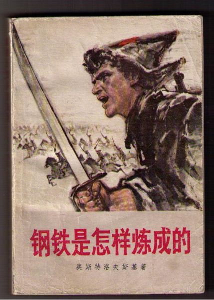 在磨练中生长，，，，，，从摔倒中爬起&amp;mdash;&amp;mdash;读《钢铁是怎样炼成的》 - 文学苑 - J9集团