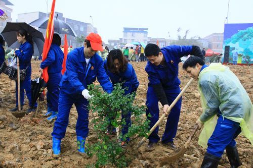 总公司团委组织青年员工加入“绿满八桂，，，，绿动青春”植树活动 - 企业要闻 - J9集团