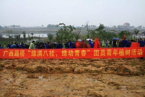 总公司团委组织青年员工加入“绿满八桂，，，，绿动青春”植树活动 - 企业要闻 - J9集团