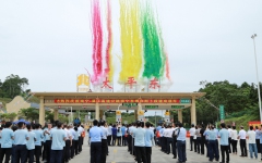 企业要闻 - J9集团